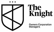 The Knight